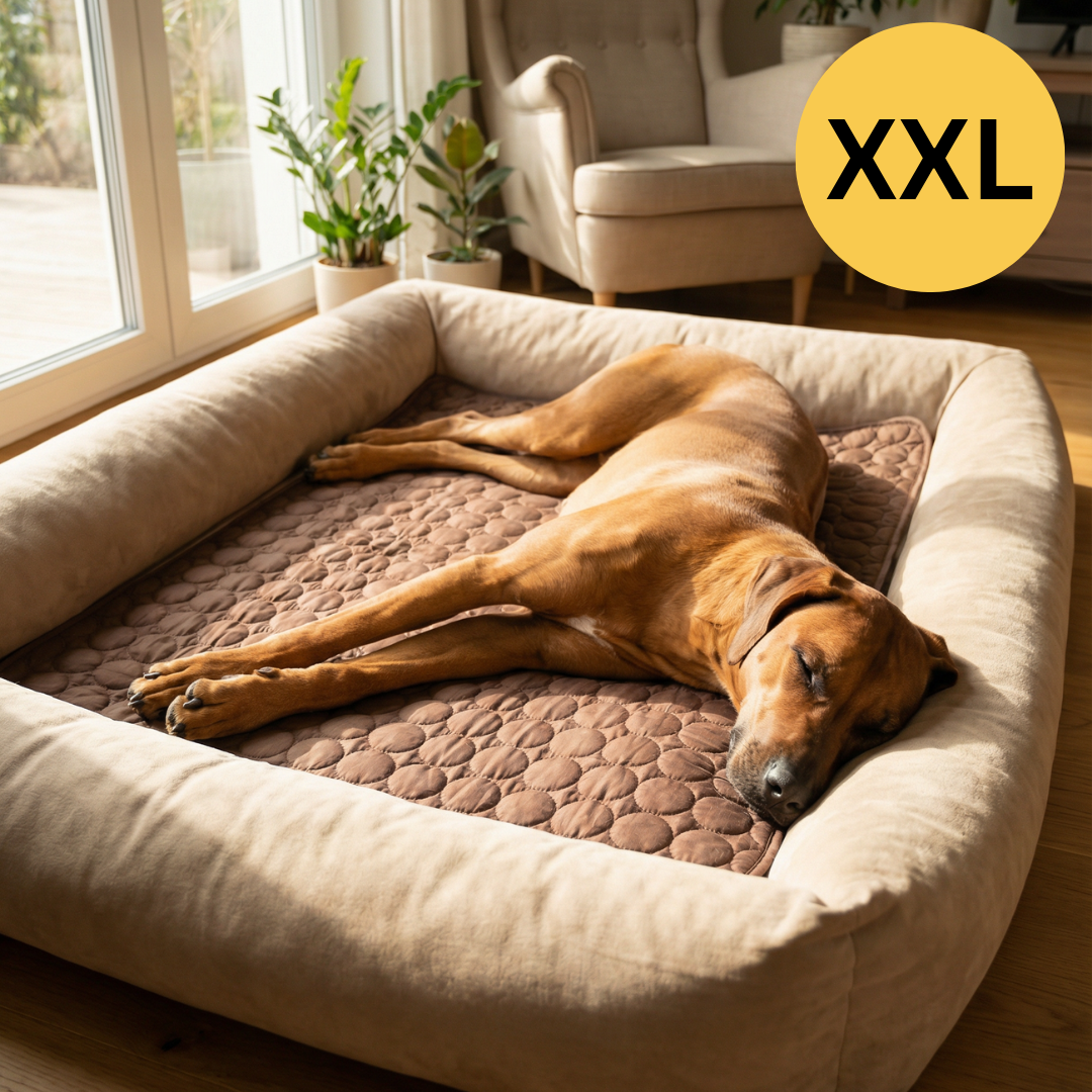 Tapis rafraîchissant pour l'été | OFFRE 1+1