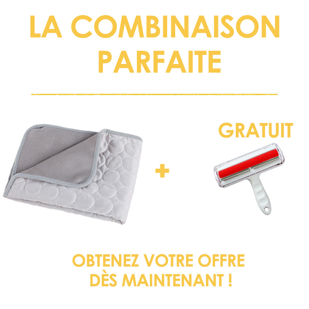 💝Tapis rafraîchissant pour l'été | OFFRE 1+1