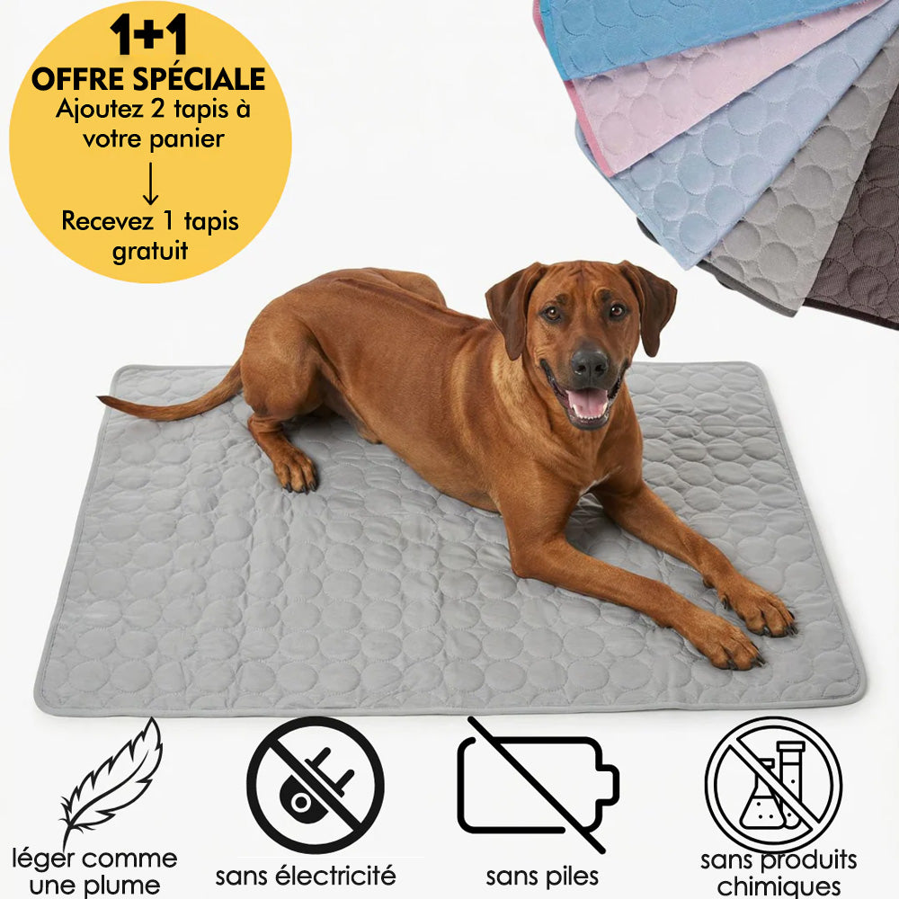 Tapis rafraîchissant pour l'été | OFFRE 1+1
