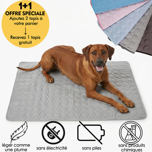 Tapis rafraîchissant pour l'été | OFFRE 1+1