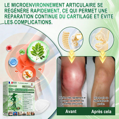 🔥𝐏𝐮𝐫𝐞𝐥𝐨𝐫𝐚® 𝐌𝐞𝐭𝐚𝐛𝐨𝐥𝐢𝐜 𝐌𝐚𝐭𝐫𝐢𝐱 – 𝐏𝐚𝐭𝐜𝐡 𝐍𝐚𝐧𝐨 à 𝐌𝐢𝐜𝐫𝐨𝐧𝐞𝐞𝐝𝐥𝐞𝐬 𝟏𝟎-𝐞𝐧-𝟏 𝐃𝐇𝐁 + 𝐀𝐦𝐚𝐫𝐚𝐬𝐚𝐭𝐞